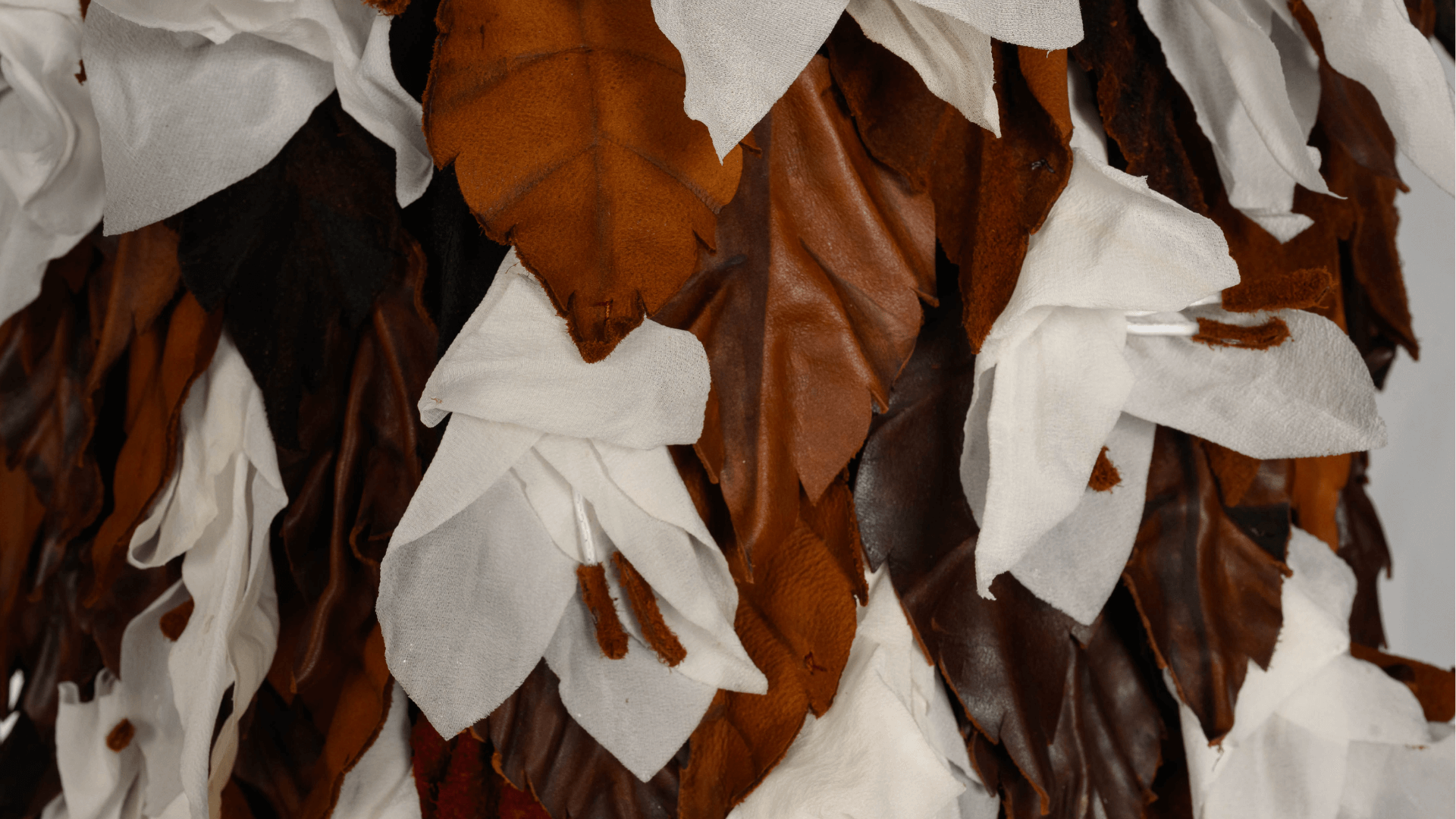 Autumn King, Catherine Anderton, New Zealand